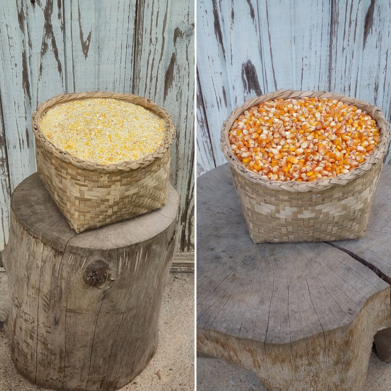 Produtos para Nutrição Animal